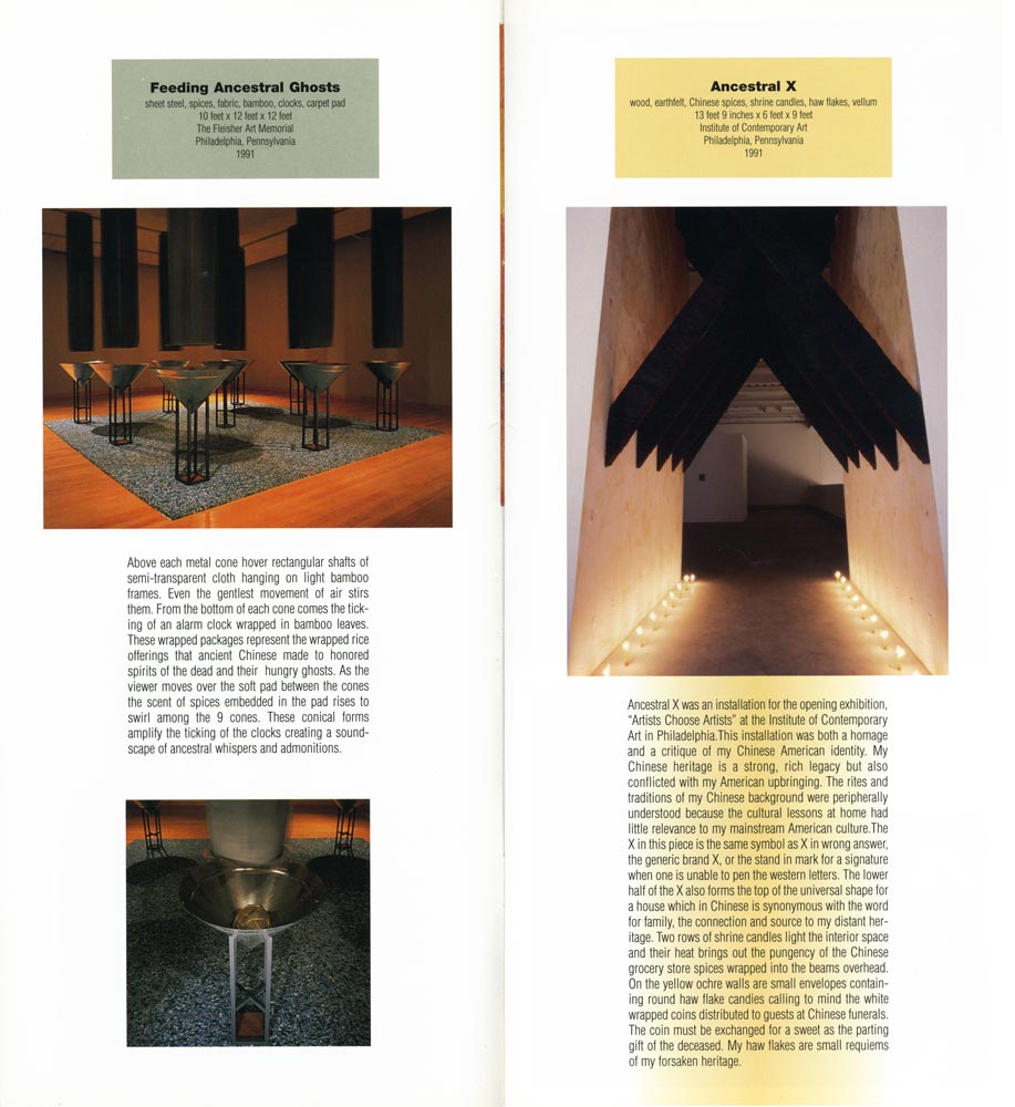 Excerpts from artist catalog, Mei-ling Hom Installations, 2002
